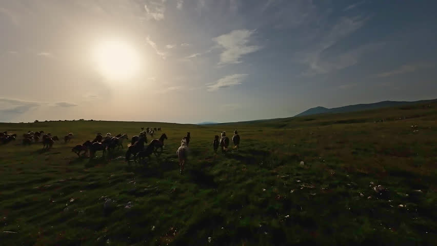 Shutterstock Video