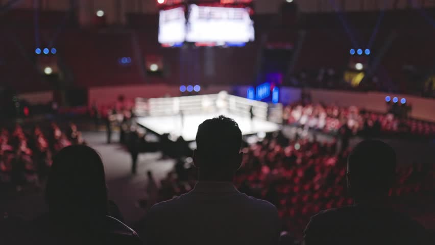 Spectators watching boxing match in arena