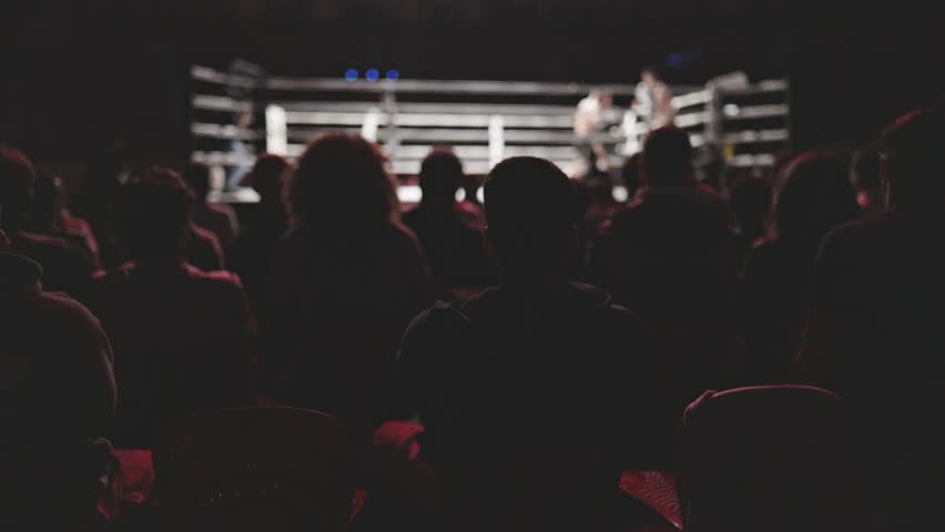 Spectators watch a boxing match from the stands
