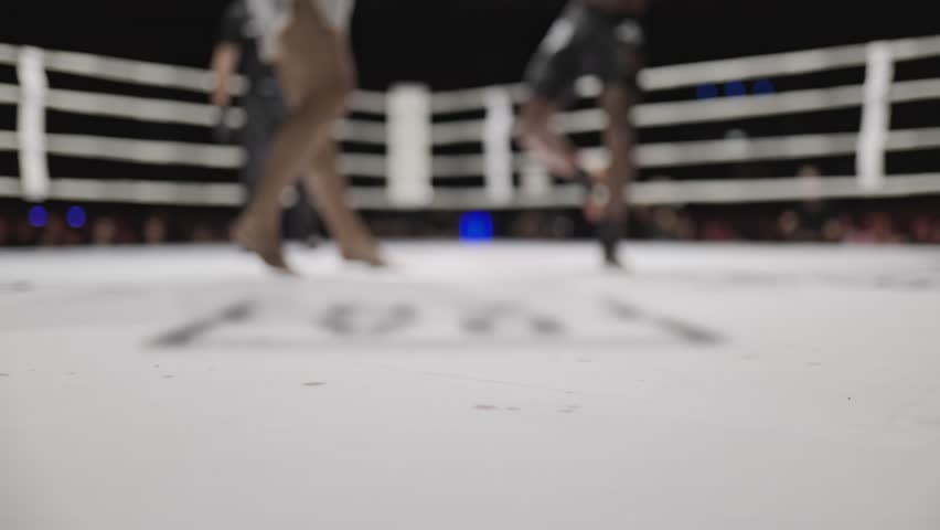 Low angle view of kickboxers fighting in a ring
