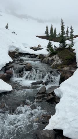Water cascades down a rocky stream flanked by snow in Mount Rainier National Park