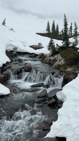 Water cascades down a rocky stream flanked by snow in Mount Rainier National Park