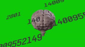 Gray 3D brain model rotating against green backdrop, showing floating gray numeric data overlays. Technology, neuroscience, innovation, visualization, science, digital, education - Powered by Shutterstock - Get 15% off with code: PIKWIZARD15
