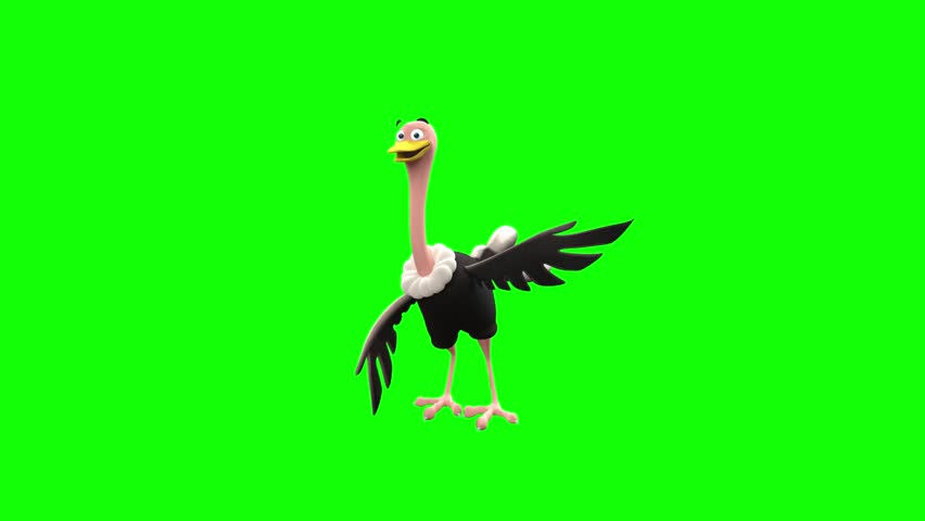 3D green screen ostrich character pointing with idea expression. Perfect for explainer videos, presentations, tips, and creative digital content.