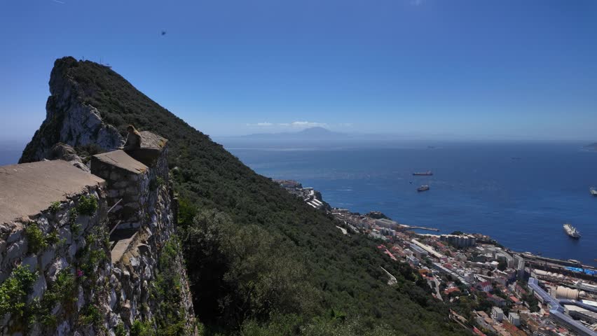 Barbary macaque sitting on the Rock of Gibraltar, observing the city, the sea, Africa, and birds flying with cargo ships in the background