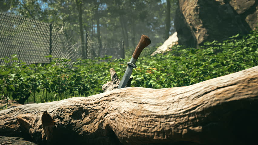 A hunting knife with a wooden handle is stuck in a fallen log. Weapon in a log, in a forest setting.