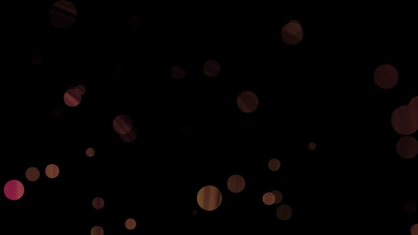 Shutterstock Video