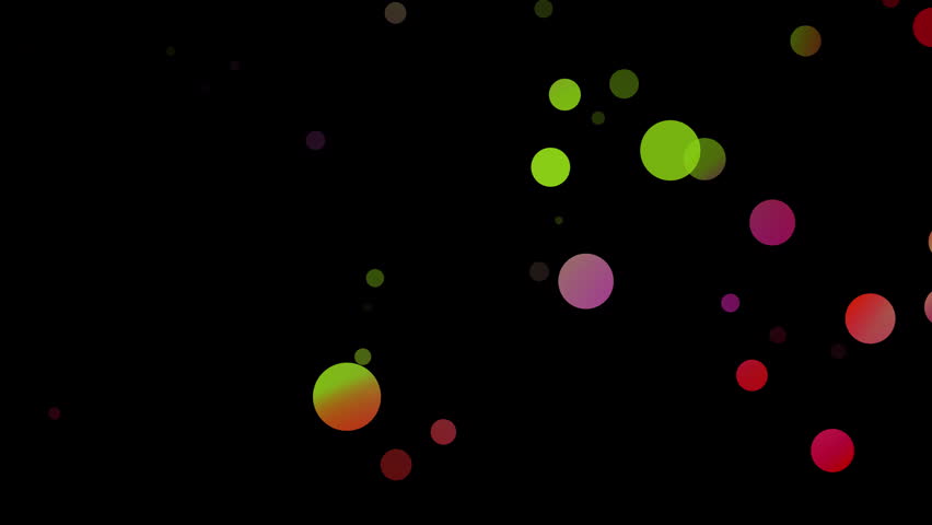 Shutterstock Video