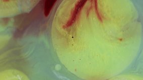 Vertical video. Paint stream drop. Color flow layer. Process mixing component different thickness tone. Marble effect circle bubble overflow. Oil stain glitter macro jet. - Powered by Shutterstock - Get 15% off with code: PIKWIZARD15