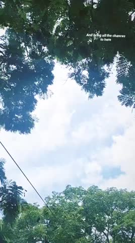 see sky clouds and bird 