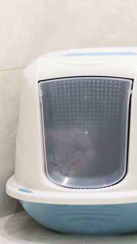 The Modern Cat Litter Box for Indoor Pets offers optimal comfort and cleanliness