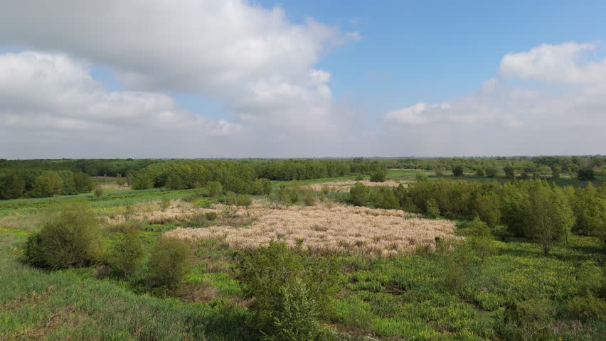 Wide open rural grassland wetland landscape in the Paraná Delta region, Argentina.