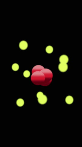 Shutterstock Video