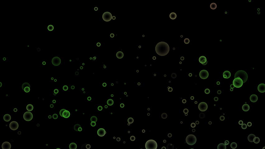 Shutterstock Video