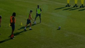Soccer teammates taking free kicks on training pitch, showing animated candlestick finance charts. Athletic, teamwork, sport, outdoor, training, dynamic, health - Powered by Shutterstock - Get 15% off with code: PIKWIZARD15