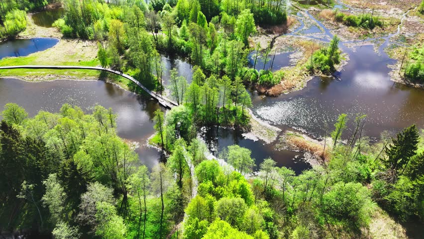 Biržai Regional Park, Lithuania - A Winding Wooden Bridge Weaves Through Lush Green Foliage Over a Tranquil Karst Lake - Orbit Drone Shot