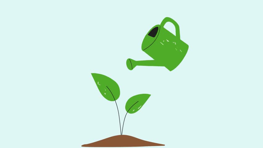 Animation of watering can with water drops watering plants, spring garden