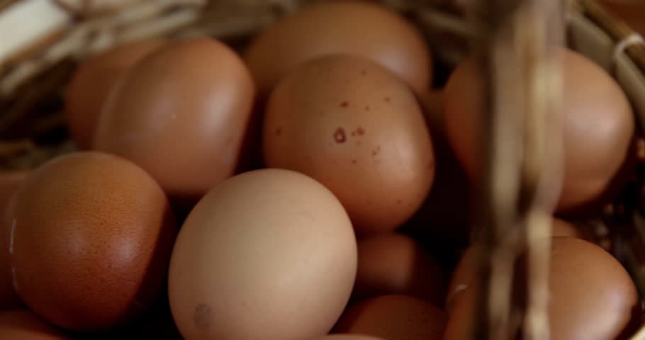 Brown eggs nesting in straw, streaming animated data charts in flat design with numeric overlays. Organic, rustic, modern, data visualization, agricultural, analytics, natural
