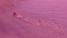 Marketing team exploring swirling purple and pink light pattern for technology branding visuals. Psychedelic, abstract, fluid, vibrant, dreamy, motion, digital - Powered by Shutterstock - Get 15% off with code: PIKWIZARD15