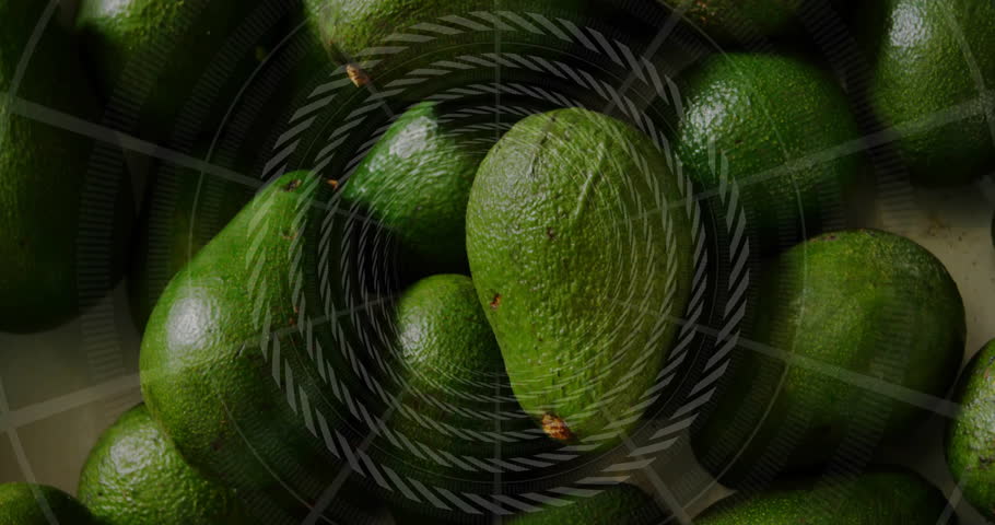 Fresh green avocados piling in flat design, showcasing pebbled textures across market display. Produce, healthy, organic, minimalist, grocery, food, natural