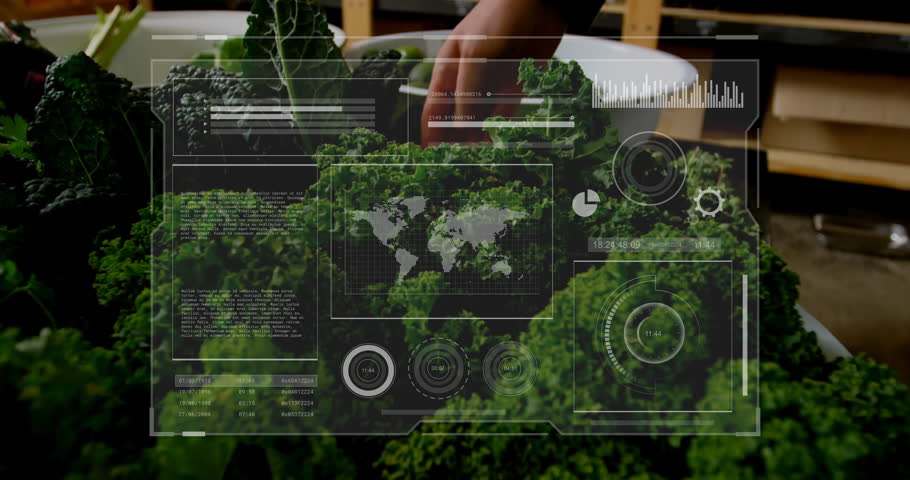 Kale and parsley resting on wooden counter with charts and overlays animating above in flat design. Fresh produce, healthy eating, market, urban agriculture, farm-to-table, digital technology,