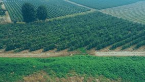 Greenhouse complex showing augmented reality data bubbles floating above orchards and crop fields. Horticulture, agritech, smart farming, modern agriculture, digital farming, eco-friendly, innovation - Powered by Shutterstock - Get 15% off with code: PIKWIZARD15