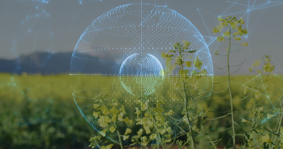 3D farming sphere hovering over yellow crop field, linking glowing nodes across farmland. Agriculture, technology, eco-friendly, innovation, digital, connectivity, landscape