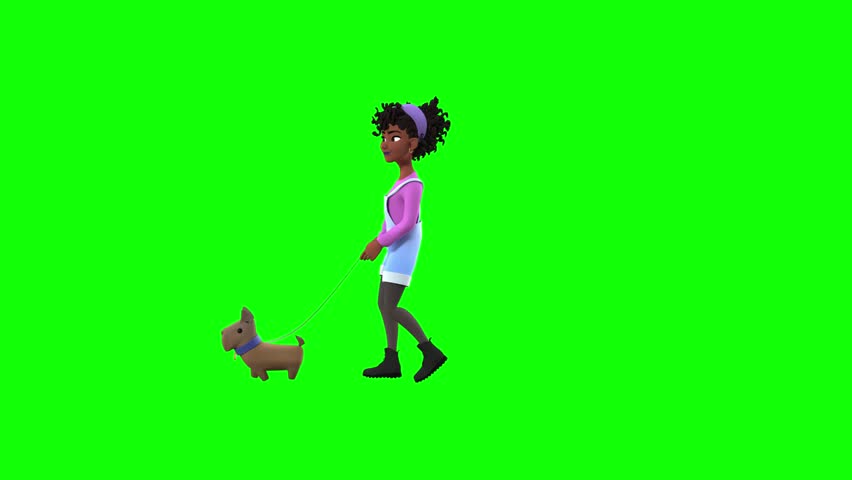 Shutterstock Video