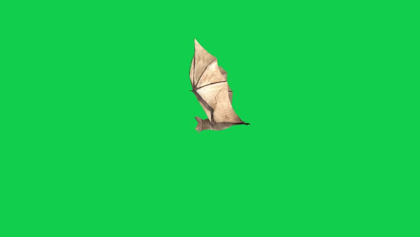 Animated sailboat sailing on green screen background, ideal for travel, sea, or green screen video projects and creative animation overlays.