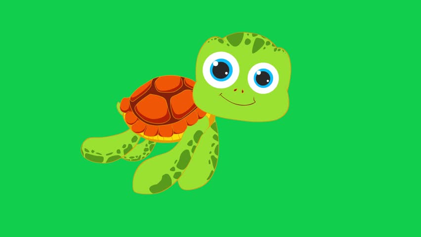 Animated turtle and snail on green screen, perfect for nature, wildlife, and childrens explainer videos. Green screen animation for creative and educational content.