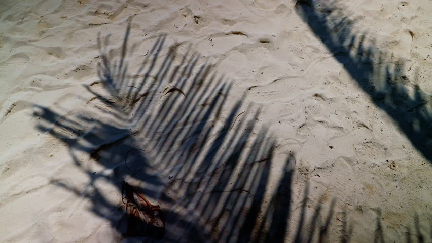 Tropical sunlight casting palm tree shadow swaying softly over white sand, revealing peaceful beach landscape in thailand