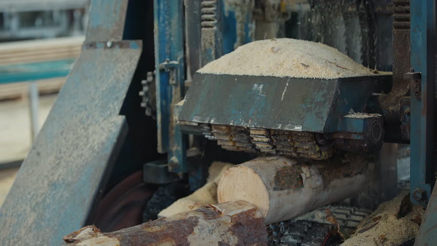 Industrial machine deals with the production of timber items. Timber processing machine at the production line. Automated Machine cutting the long timber logs at the production factory.
