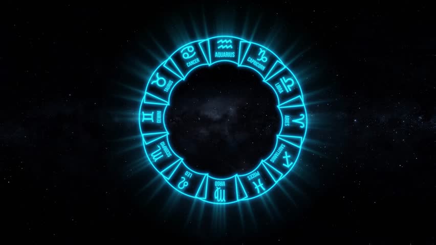 Shutterstock Video