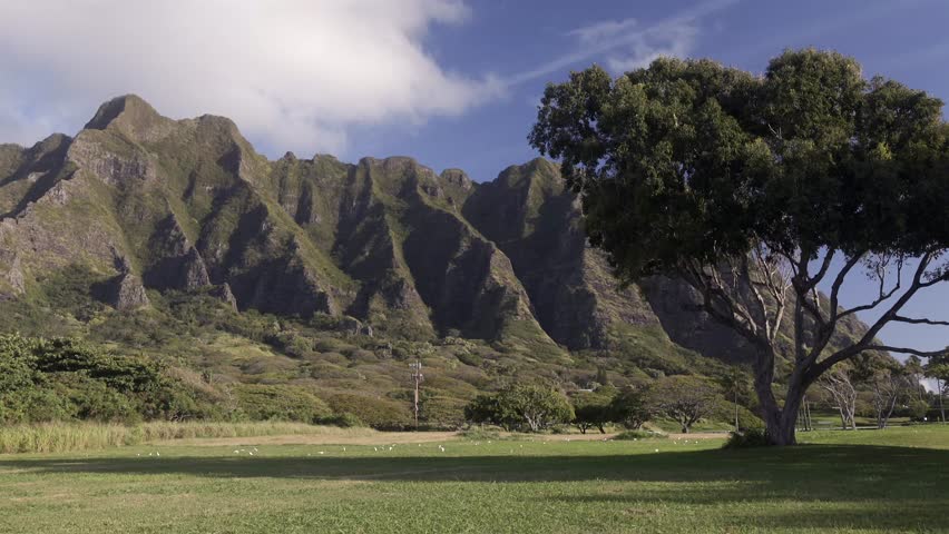 Hawaii nature: mountains, clouds and tree on the background