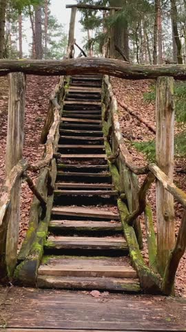 Up the forest stairs and through the forest