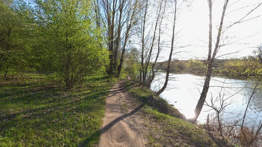 Early spring forest, walking along the river. Fresh greenery on the trees. Bright sunny day.