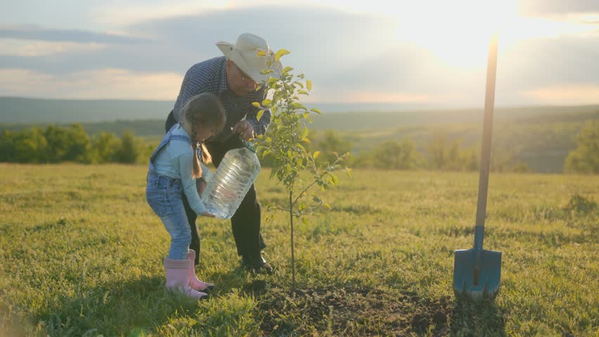 Elderly man with cowboy hat helps young girl water a small tree on a grassy field at sunset, symbolizing family, nature care, and generational bonding.