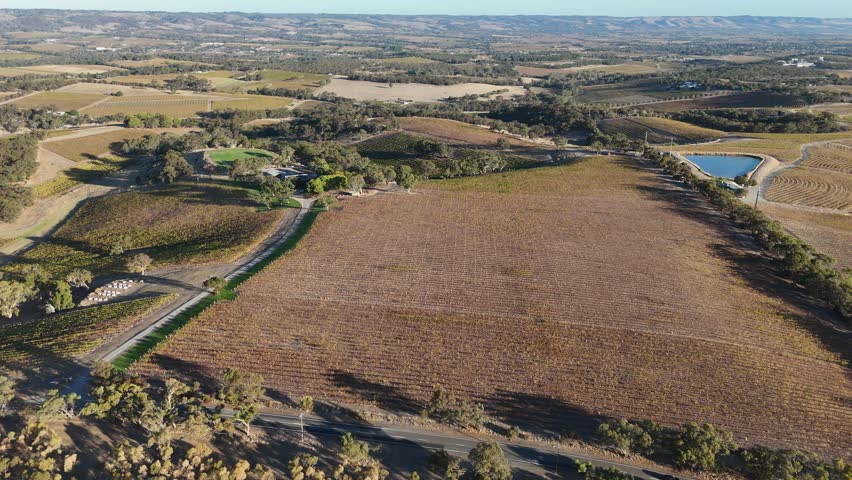 McLaren Vale, South Australia – 4K Aerial Drone Footage Featuring Autumn Vineyards and Rolling Hills in the Famous Wine Region at sunset