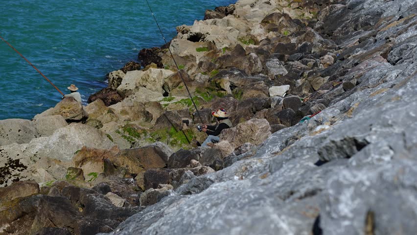 Shore fishing lovely 4k scene