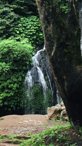 Green Nature of Mountain Landscape with River Waterfall in Summer Forest Park. Outdoors View on Water Fall and Majestic Exotic Garden for Eco Tourism. Wanderlust of Traveling in Warm Climate of Coast