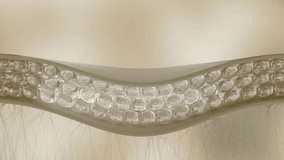 Animation Skin Cell Medical Background Cosmetics Beauty Skin Care Concept. 3d Skin Collagen through Wrinkle Layer Reduce Up Saggy Skin of Body Molecule Element. Serum and Vitamin 3d Motion Graphic 4k - Powered by Shutterstock - Get 15% off with code: PIKWIZARD15