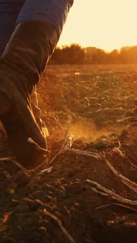 Farmer in boots walks across the field. close-up. legs in farming boots. freshly plowed agricultural field. at sunset. backlit. Bottom view