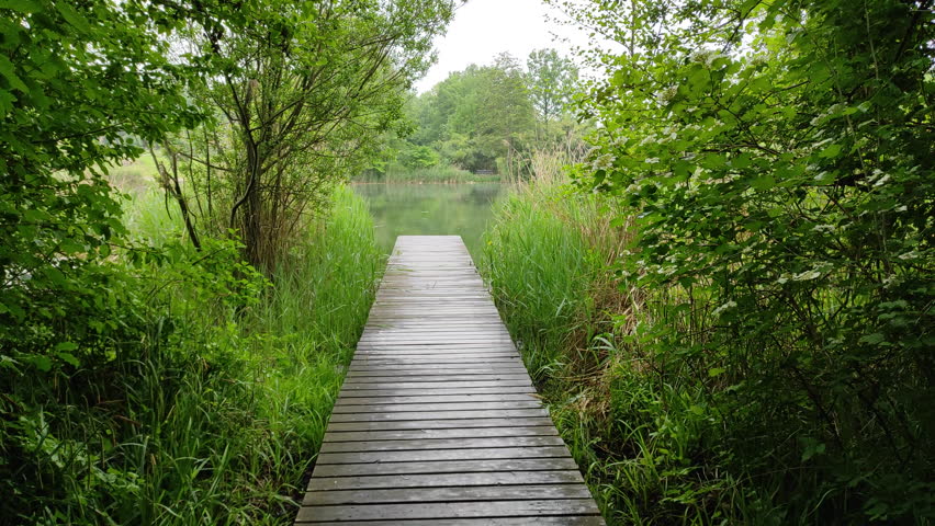 A wooden boardwalk leading to a pond in a German park.