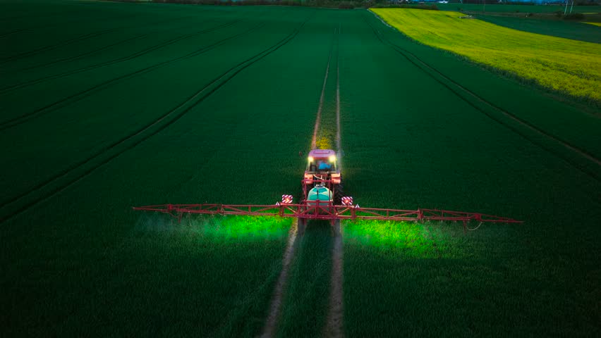 Farming tractor spraying wheat field at night with lights on. Tractor illuminating field while spraying wheat crops with fertilizers and pesticides. Spraying wheat field using farming tractor with
