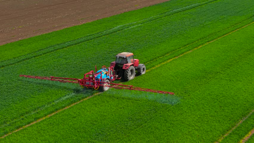 Tractor and crop sprayer protecting plants on green agricultural field. Farming machine applying pesticides or fertilizers across wheat rows. Agricultural equipment treating crops with protective