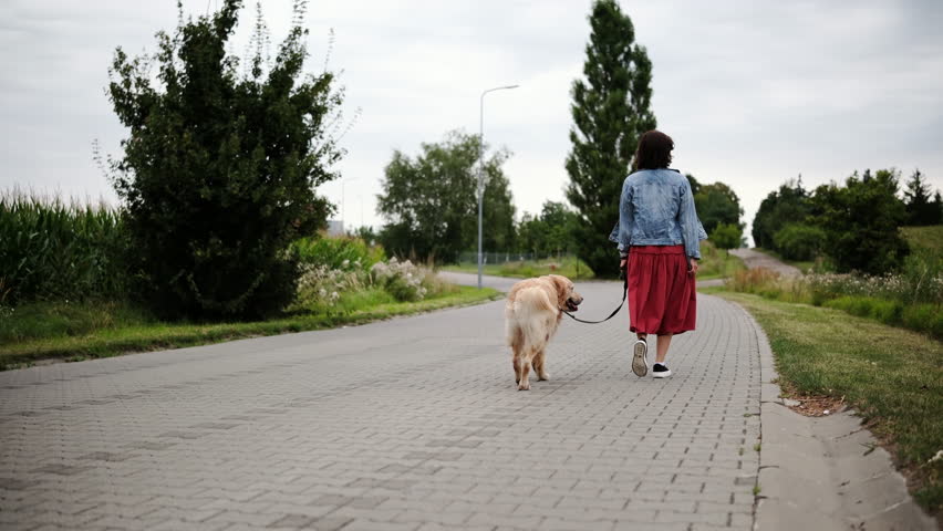 Girl Walks With Golden Retriever Along A Country Road As Part Of Daily Morning Routine