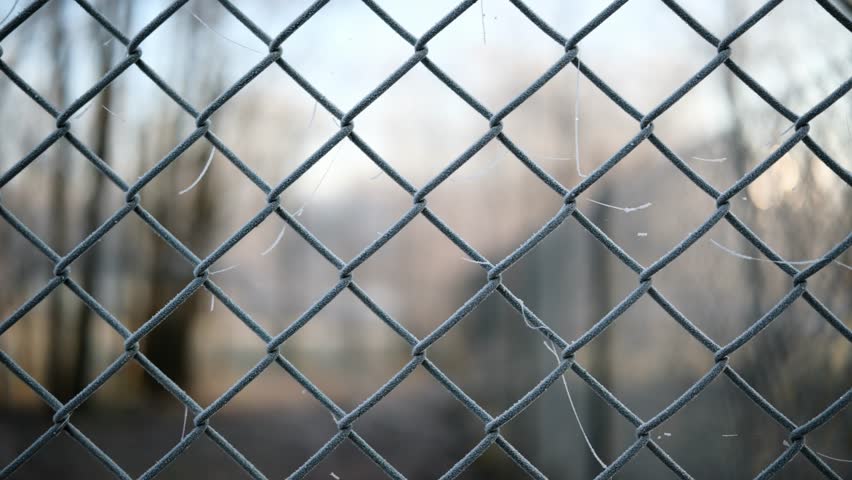 Chain-Link Fence Covered In Morning Frost During A Winter Morning