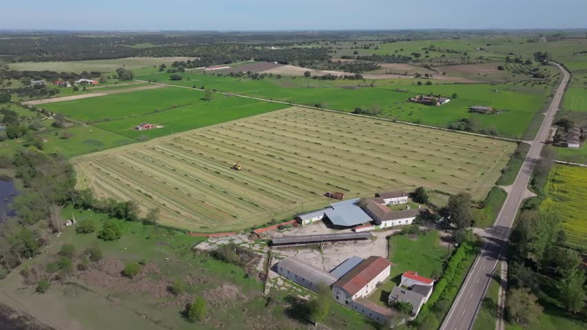 Drone flight over a harvested crop field where a yellow harvester collects grains from the ground in neat rows, while a tractor with trailer approaches to receive the load under a bright sky.