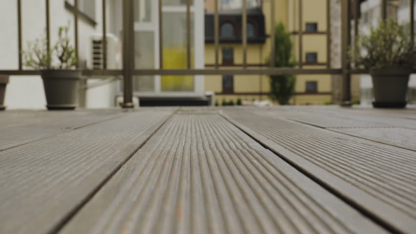 Shutterstock Video