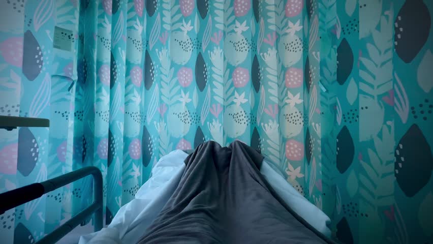 Shutterstock Video